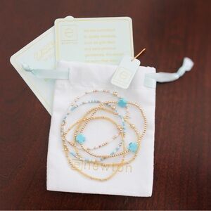 E Newton Bracelets